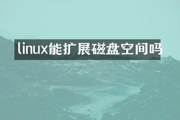 linux能扩展磁盘空间吗