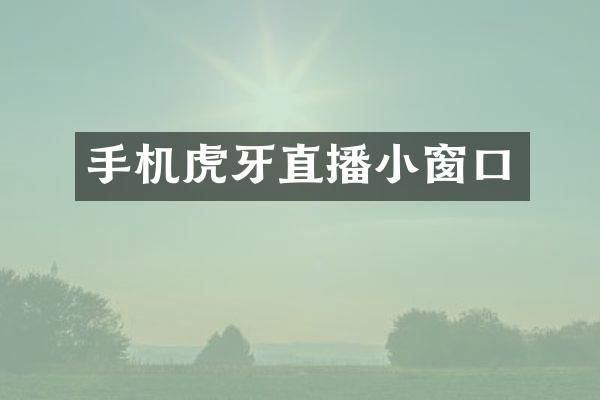 手机虎牙直播小窗口