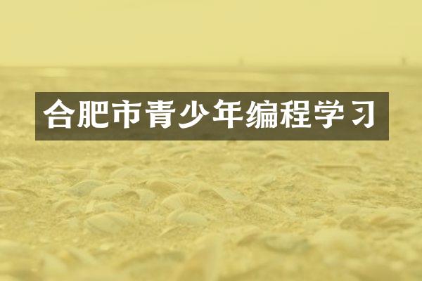 合肥市青少年编程学习