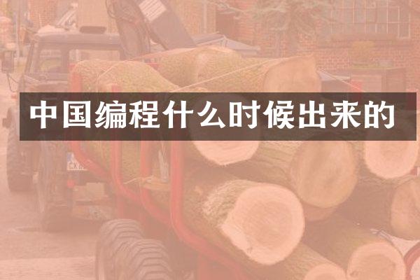中国编程什么时候出来的