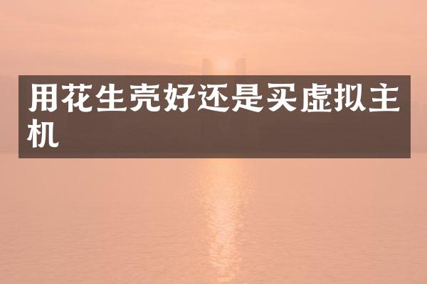 用花生壳好还是买虚拟主机