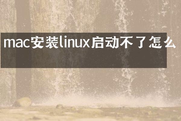 mac安装linux启动不了怎么办