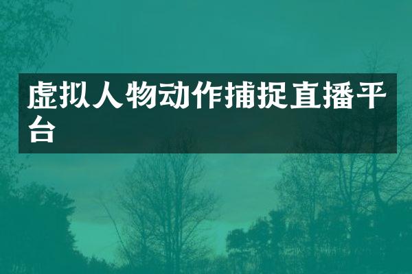 虚拟人物动作捕捉直播平台