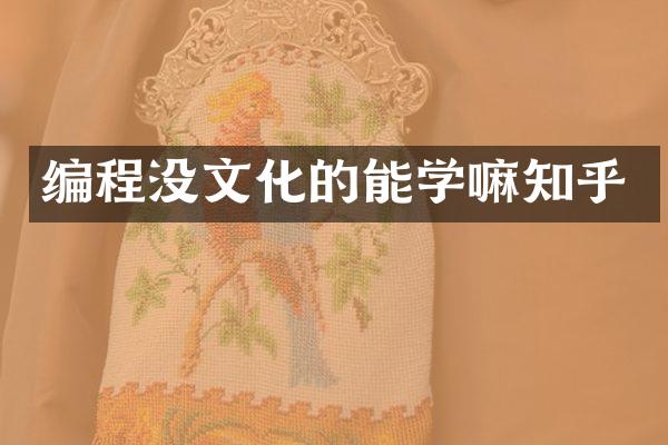 编程没文化的能学嘛知乎