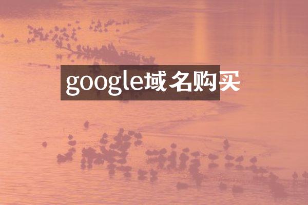 google域名购买