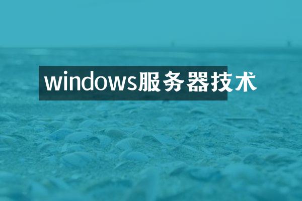 windows服务器技术