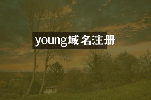 young域名注册