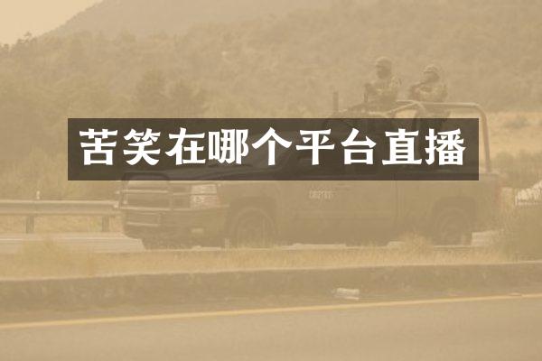 苦笑在哪个平台直播