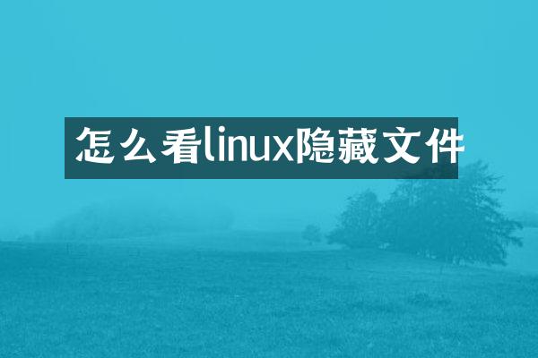 怎么看linux隐藏文件