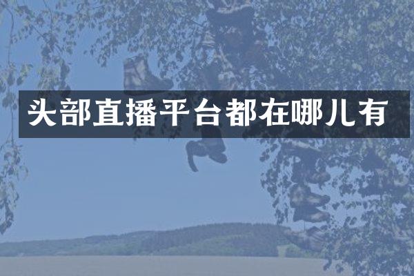 头部直播平台都在哪儿有