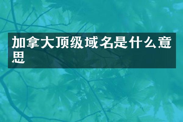 加拿大顶级域名是什么意思