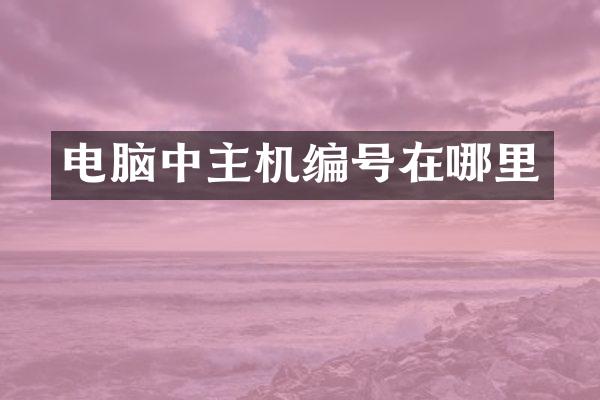 电脑中主机编号在哪里