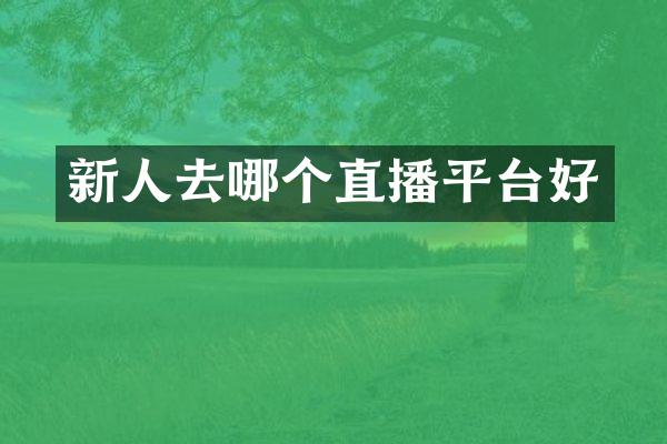 新人去哪个直播平台好