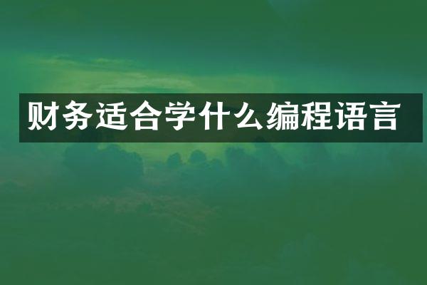 财务适合学什么编程语言