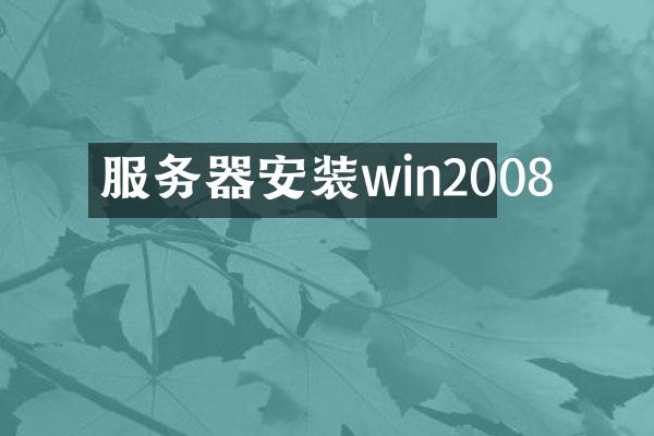 服务器安装win2008