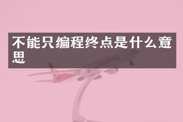 不能只编程终点是什么意思
