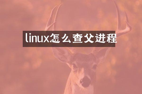 linux怎么查父进程