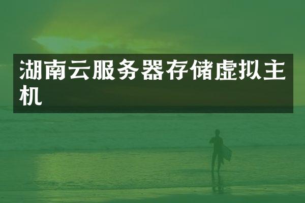 湖南云服务器存储虚拟主机