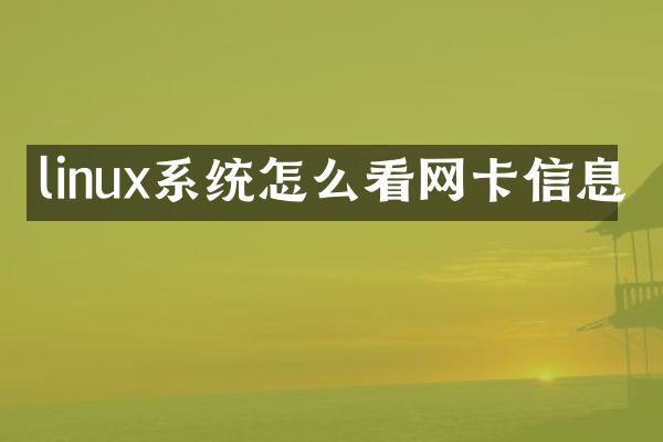 linux系统怎么看网卡信息