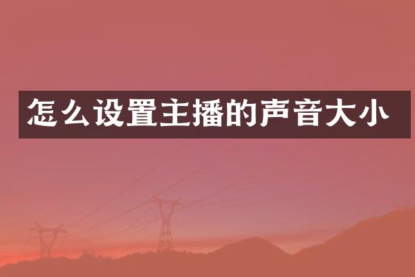 怎么设置主播的声音大小