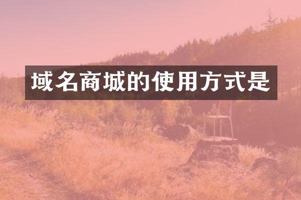 域名商城的使用方式是