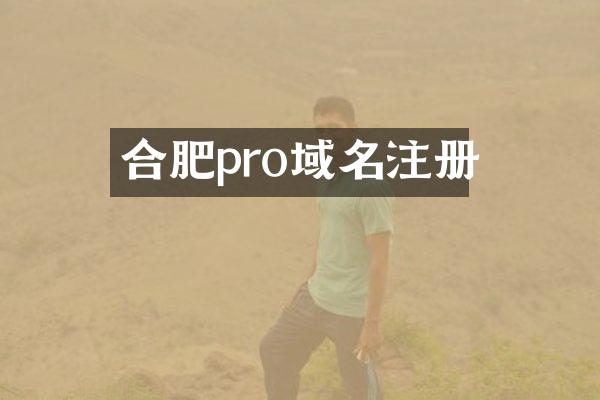 合肥pro域名注册