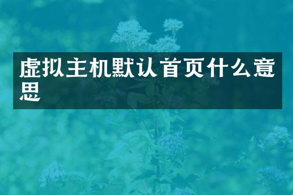 虚拟主机默认首页什么意思