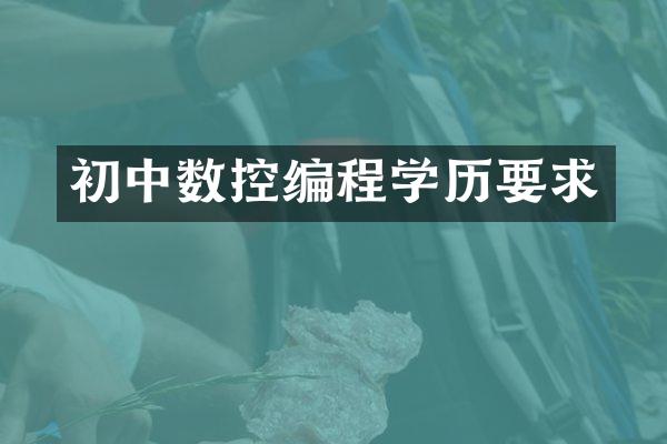 初中数控编程学历要求