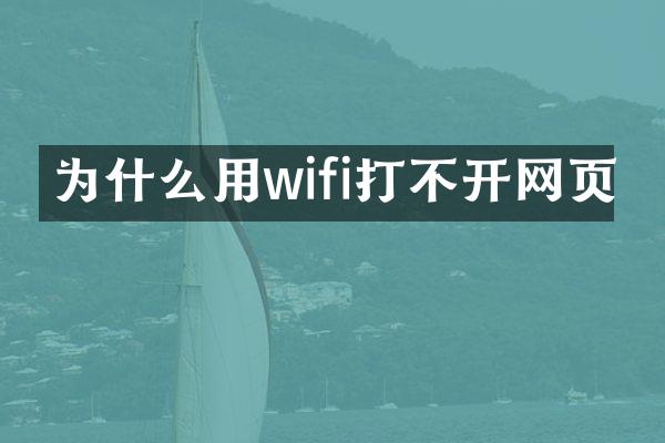 为什么用wifi打不开网页