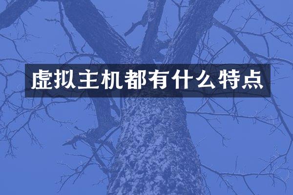 虚拟主机都有什么特点