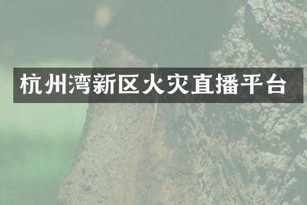 杭州湾新区火灾直播平台