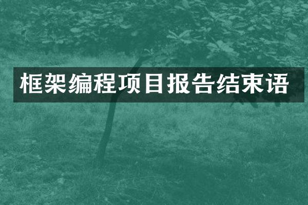 框架编程项目报告结束语