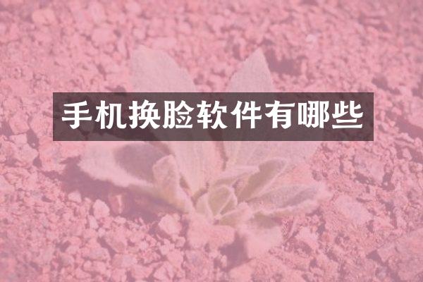 手机换脸软件有哪些