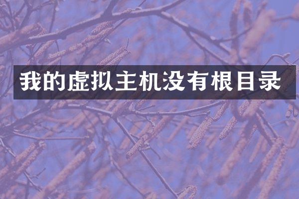 我的虚拟主机没有根目录