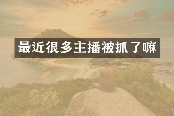 最近很多主播被抓了嘛