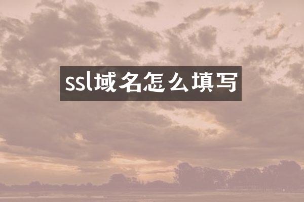 ssl域名怎么填写