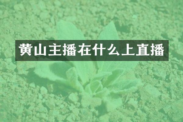 黄山主播在什么上直播