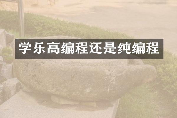 学乐高编程还是纯编程