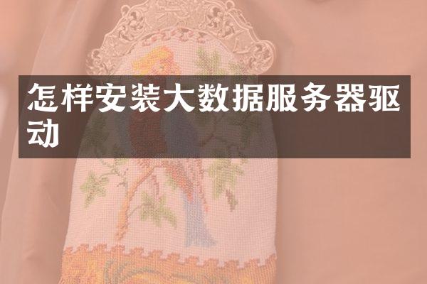 怎样安装大数据服务器驱动