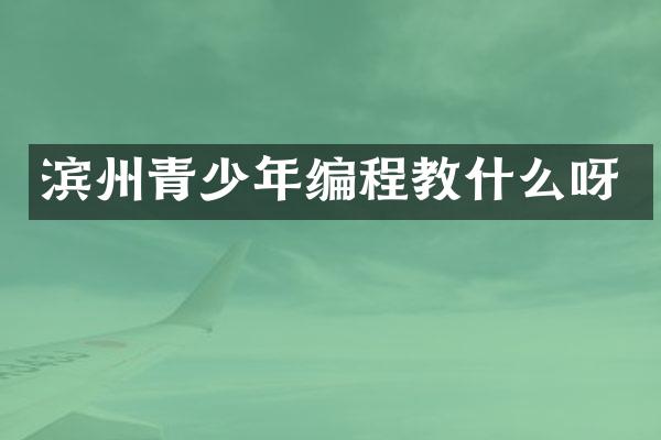 滨州青少年编程教什么呀