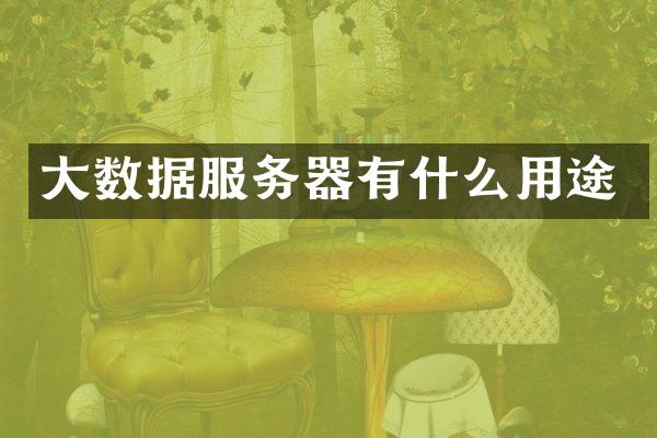 大数据服务器有什么用途