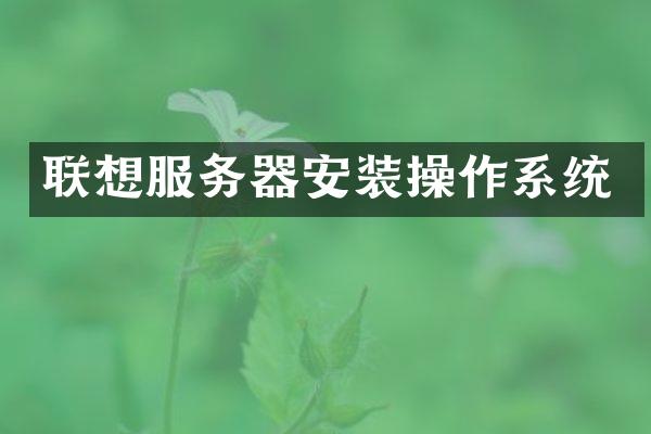 联想服务器安装操作系统