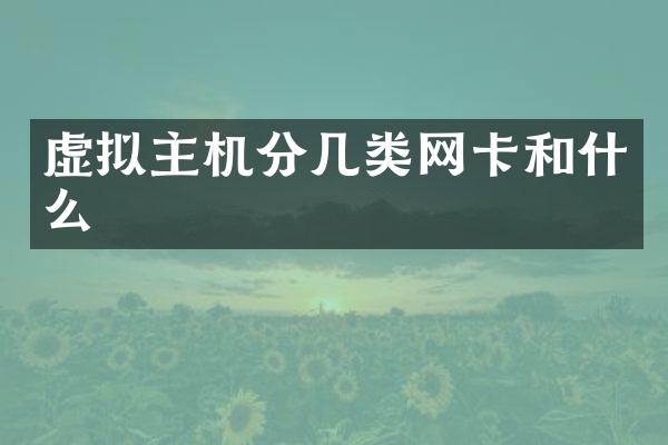 虚拟主机分几类网卡和什么