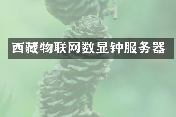 西藏物联网数显钟服务器