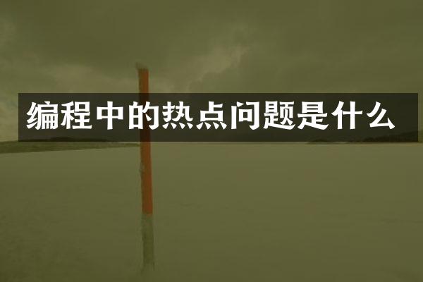 编程中的热点问题是什么