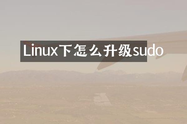 Linux下怎么升级sudo