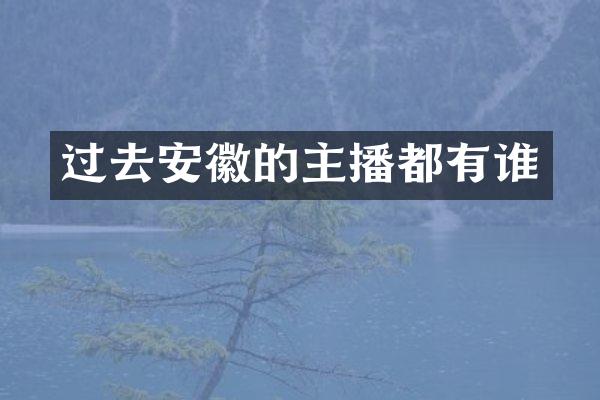 过去安徽的主播都有谁