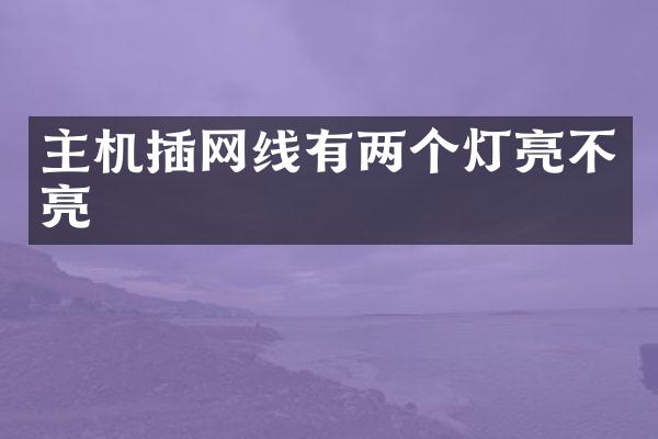 主机插网线有两个灯亮不亮