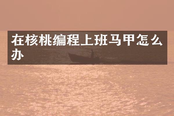 在核桃编程上班马甲怎么办