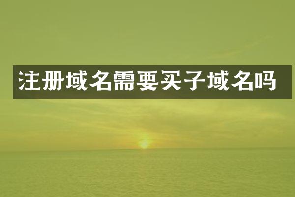 注册域名需要买子域名吗